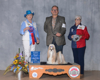Reserve Best in Show March 7, 2015